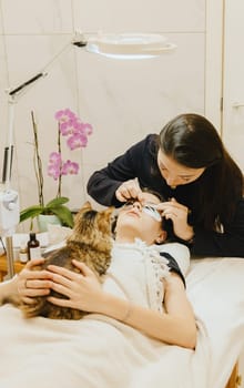Portrait of a young beautiful Caucasian brunette girl cosmetologist removing the remains of brown paint from eyelashes using a cotton swab to a teenage client on whom a pet cat is lying, bottom side view close-up with depth of field and selective focus.