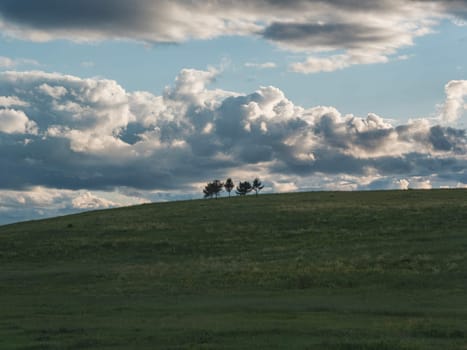 Four solitary trees stand atop a gentle rolling hill, framed against a dramatic sky filled with dense, textured clouds in the evening. The expansive green field foreground contrasts beautifully with the captivating cloud formation, creating a serene yet dramatic landscape.