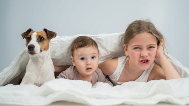 A little girl and her five-month-old brother and Jack Russell Terrier dog lie wrapped in a blanket