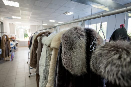 Dry Cleaning. Image of fur coats on hangers in laundry room