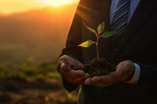 Business man using the tree plant to support environmental and sustainable development. ecological concept..