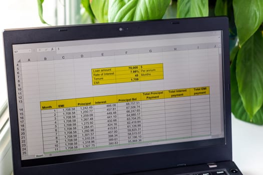 Shot of an excel sheet on computer screen showing bank loan amortization table.