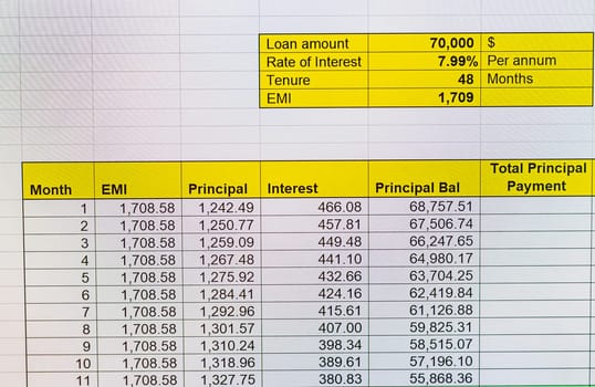 Shot of an excel sheet on computer screen showing bank loan amortization table.