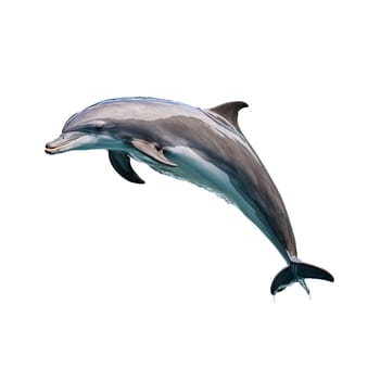 Animal isolated on transparent background. Playful bottlenose dolphin Tursiops truncatus leaping joyfully out of water streamlined form Animal photography.