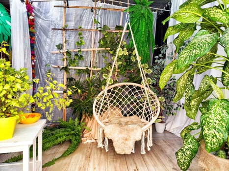 Modern cozy beautiful room with a braided rope macrame chair, green plants and a window with curtains. Interior and background. Location for photo shooting