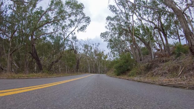 In this serene winter scene, a vehicle carefully makes its way along Los Osos Valley Road and Pecho Valley Road within Montana de Oro State Park.