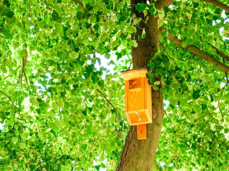 A new wooden birdhouse attached to a tree with wire in spring, Europe