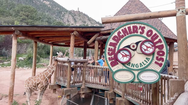 Colorado Springs, Colorado, USA-August 17, 2022-Giraffe exhibit at the Cheyenne Mountain Zoo during the summer.