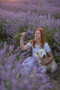 A woman sits in a field of lavender flowers with her dog. She is holding a bouquet of flowers and she is enjoying the peaceful surroundings