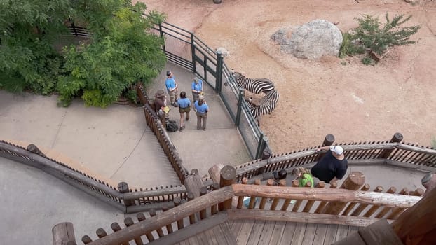 Colorado Springs, Colorado, USA-August 17, 2022-Zibra exhibit at the Cheyenne Mountain Zoo during the summer.