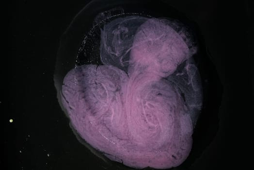 Vibrant blue and pink oil gracefully swirls against a stark black background, showcasing its unique colors and movement.