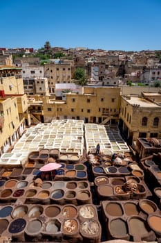 houwara Tannery in Fez, Iconic Traditional Leather Dyeing Site, Morocco