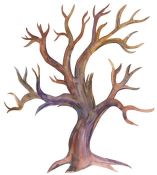 Watercolor illustration of a tree without leaves isolated on a white background