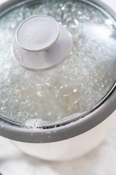 Freshly cooked white rice in a rice cooker.