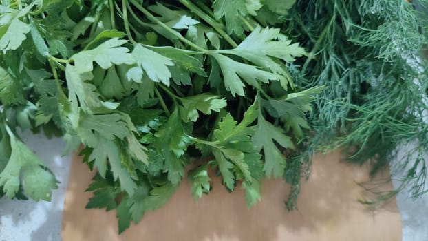 fresh green parsley dill, food seasoning salad vegetarian nature background. High quality photo
