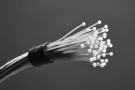 A black and white close-up of a cable network, showing intricate patterns and connections against a plain background.