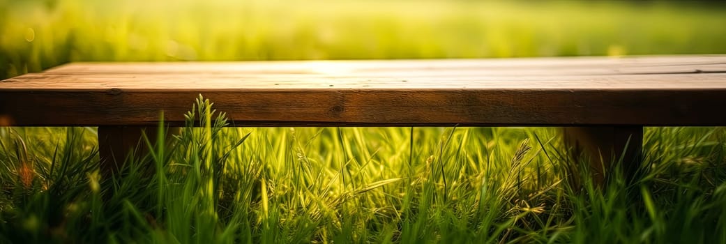 A wooden bench is sitting in a grassy field. The bench is empty and the grass is lush and green