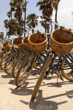 Many Bicycles with Baskets on Beach, Palm Trees and Blue Sky On Background. Bicycle Day. Traveling, Vacation. Eco Transportation, Recreation. Vertical. . High quality photo