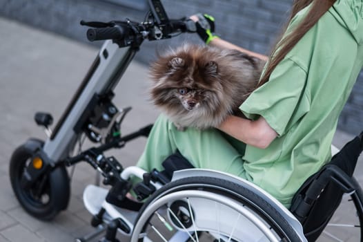 A woman in a wheelchair with a hand-control assist device carries a Spitz merle dog. Electric handbike