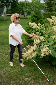 An elderly blind woman smells a flowering shrub while walking in the park