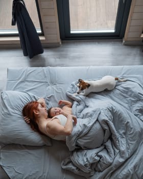 Top view of a red-haired Caucasian woman lying in bed with her baby son and Jack Russell terrier dog. Vertical photo