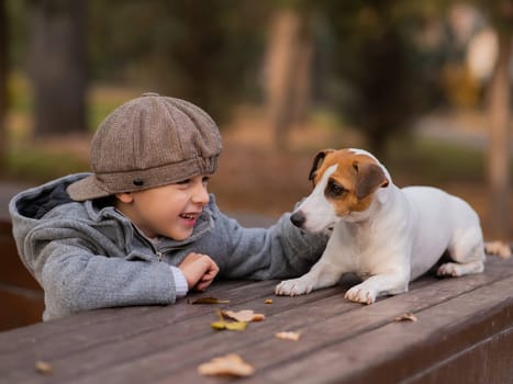 Jack Russell Terrier dog sits on a bench for a walk with a boy in an autumn park