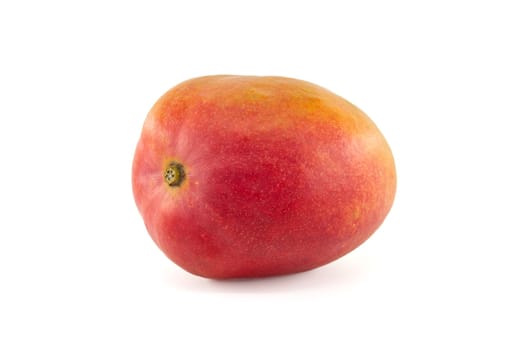 Ripe mango fruit with a blend of red and yellow tones on their skin isolated against a white background