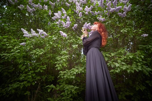 Elegant senior mature Woman in Black Dress by Blooming Lilac Bush at Dusk. Woman with red hair stands poised among lilac blooms