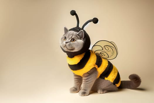 Cute gray cat of the British breed dressed in a bee costume, light background. Bee day or halloween concept.