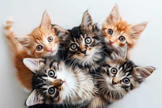 Top view of five cute tabby kittens looking at the camera.