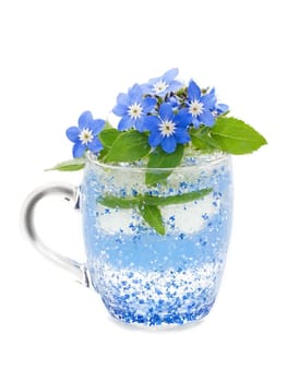Skullcap tea glass mug delicate blue flowers nervine tonic serene mood. Drink isolated on transparent background.
