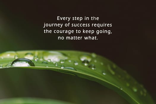 Motivational quote with raindrops on fresh green leaves on a dark background - Every step in the journey of success requires the courage to keep going, no matter what.