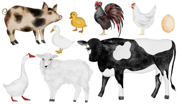 Set of farm animals. Cute watercolor illustration of pets. Hand drawn cow and goose, sheep and chicken, rooster and duck, pig and sheep. Isolated illustrations of livestock on an isolated white background. For children's educational cards. High quality illustration