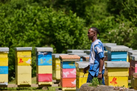 African American teenager clad in traditional Sudanese attire explores small beekeeping businesses amidst the beauty of nature