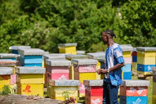 African American teenager clad in traditional Sudanese attire explores small beekeeping businesses amidst the beauty of nature