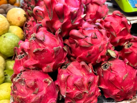 Fresh produce of dragon fruits or Hylocereus undatus 0r buah naga in Indonesian at the local market, healthy fresh fruit for salad or juice or any cooking options good for cooking recipes