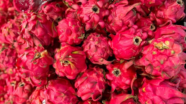 Fresh produce of dragon fruits or Hylocereus undatus 0r buah naga in Indonesian at the local market, healthy fresh fruit for salad or juice or any cooking options good for cooking recipes