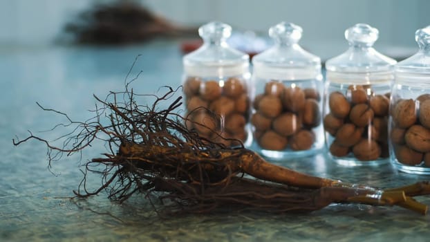 close-up, walnut stock, walnut seedlings with root system. stored in glass jars are seeds, walnuts, various species grown on breeding, hybrids of nuts, of the best quality. walnut cultivation. High quality photo