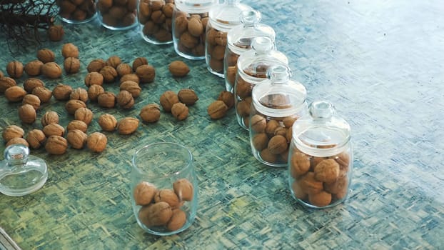 close-up, worker s hands put walnuts in glass jars. different kinds, grown selectively, hybrids of walnuts of better quality. walnuts for the food industry. fodder walnut for thoroughbred horses. High quality photo