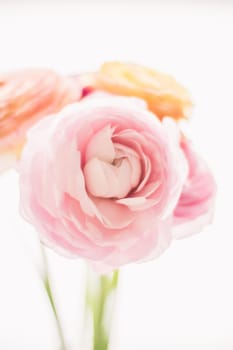 pink rose flowers from the garden - wedding, holiday and floral garden styled concept, elegant visuals