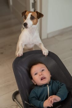 A dog rocks a cute three month old boy dressed in a blue onesie in a baby bouncer. Vertical photo
