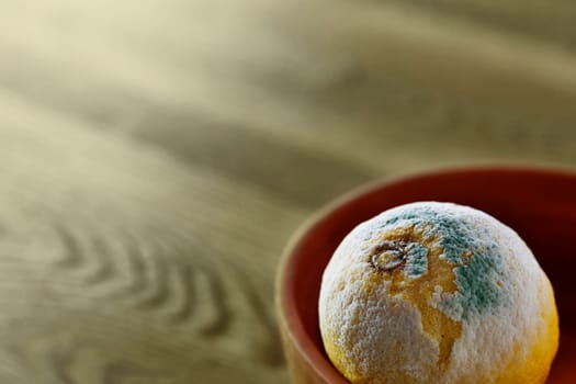 Bowl on wooden table  with rotten lemon , 