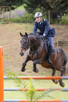 19 may 2024, Mafra, Portugal - competition in military academy - A man is riding a horse and jumping over a fence. The man is wearing a blue coat and a helmet. The horse is brown and he is well-trained. The scene is lively and energetic, with the man