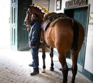 19 may 2024, Mafra, Portugal - competition in military academy - man stands next to a brown horse with a yellow mane. The horse is wearing a saddle and the man is wearing a blue jacket