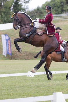 19 may 2024, Mafra, Portugal - competition in military academy - man dressed in a red jacket and hat is riding a horse that is jumping over a white line