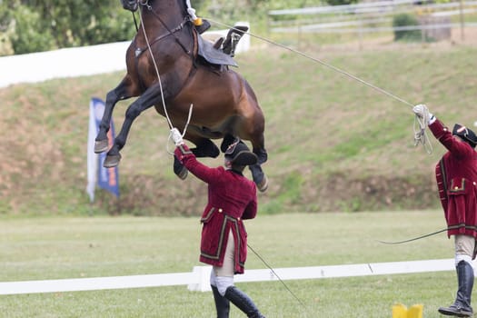 19 may 2024, Mafra, Portugal - competition in military academy - man in a red coat is holding onto a horse's tail. The horse is jumping in the air