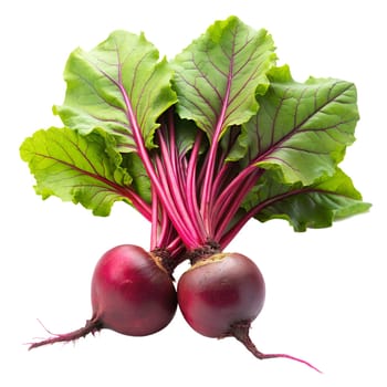 Red Beetroot with leaves isolated on white background, Fresh beetroot isolated on white background. Generated AI illustration.