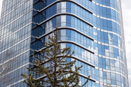 The image shows a tall building with numerous windows, towering over a tree in front. It exemplifies urban design and residential living in a vibrant neighborhood