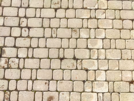 Bricks are like tiles on a sidewalk. Background, texture. Textured Brick Tile Pathway Under Daylight. A detailed view of a brick tile sidewalk with subtle color variations