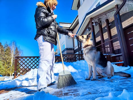 A girl or a woman with a snow broom at home and a large German Shepherd dog. Woman Clearing Snow at Home With Her German Shepherd